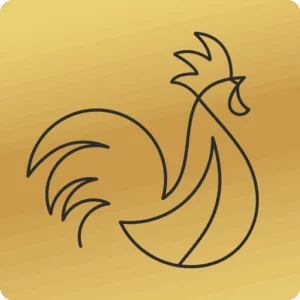 De Gribus Barneveld - favicon